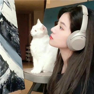 逗逗迪迪之美梦年年